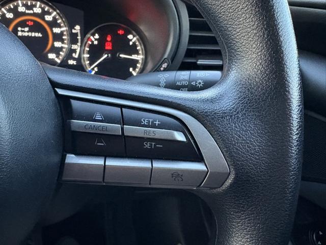 ���Ǝҗl�ւ̔̔��͂��f�肳���Ă��������܂��B�@�Ԍ������ԗ��̏ꍇ�́A�Ԍ����擾�������x�������z�ŕ\�����Ă���܂��B