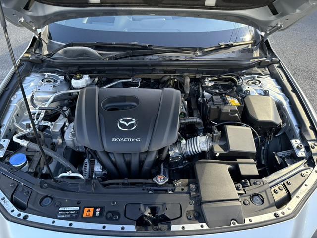 ���Ǝҗl�ւ̔̔��͂��f�肳���Ă��������܂��B�@�Ԍ������ԗ��̏ꍇ�́A�Ԍ����擾�������x�������z�ŕ\�����Ă���܂��B