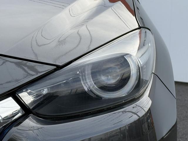 ���Ǝҗl�ւ̔̔��͂��f�肳���Ă��������܂��B�@�Ԍ������ԗ��̏ꍇ�́A�Ԍ����擾�������x�������z�ŕ\�����Ă���܂��B