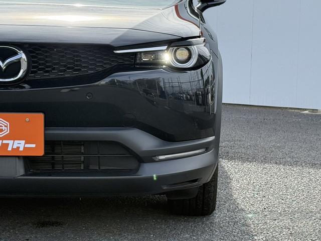 ���Ǝҗl�ւ̔̔��͂��f�肳���Ă��������܂��B�@�Ԍ������ԗ��̏ꍇ�́A�Ԍ����擾�������x�������z�ŕ\�����Ă���܂��B