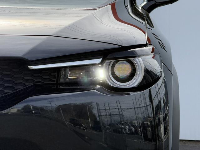 ���Ǝҗl�ւ̔̔��͂��f�肳���Ă��������܂��B�@�Ԍ������ԗ��̏ꍇ�́A�Ԍ����擾�������x�������z�ŕ\�����Ă���܂��B