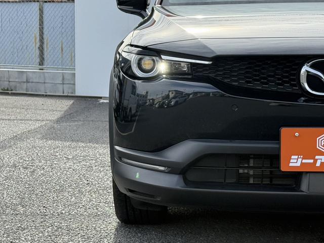 ���Ǝҗl�ւ̔̔��͂��f�肳���Ă��������܂��B�@�Ԍ������ԗ��̏ꍇ�́A�Ԍ����擾�������x�������z�ŕ\�����Ă���܂��B