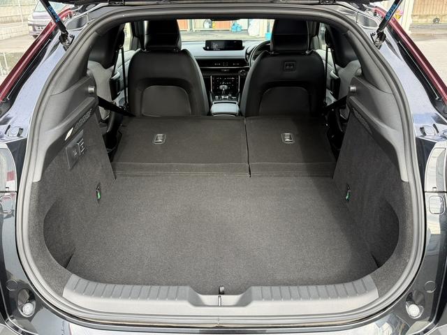 ���Ǝҗl�ւ̔̔��͂��f�肳���Ă��������܂��B�@�Ԍ������ԗ��̏ꍇ�́A�Ԍ����擾�������x�������z�ŕ\�����Ă���܂��B