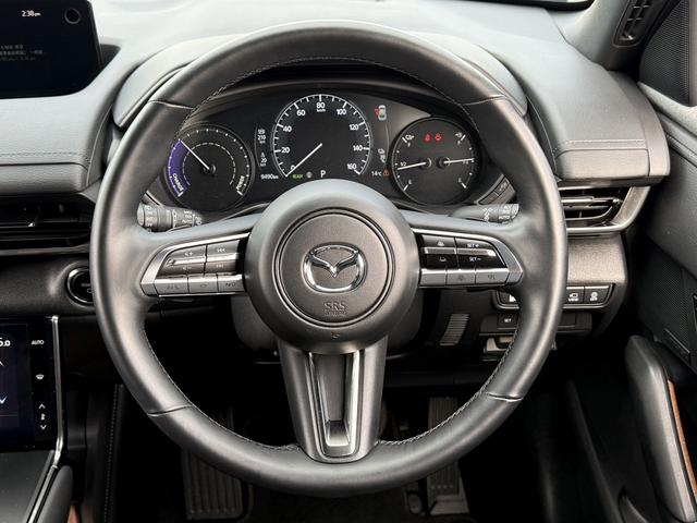 ���Ǝҗl�ւ̔̔��͂��f�肳���Ă��������܂��B�@�Ԍ������ԗ��̏ꍇ�́A�Ԍ����擾�������x�������z�ŕ\�����Ă���܂��B