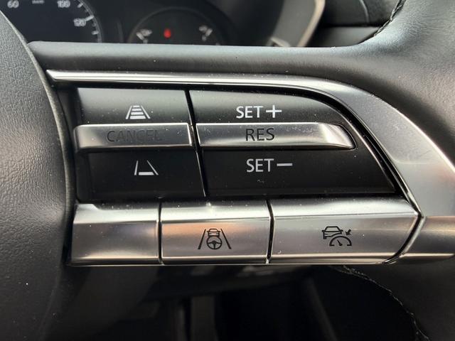 ���Ǝҗl�ւ̔̔��͂��f�肳���Ă��������܂��B�@�Ԍ������ԗ��̏ꍇ�́A�Ԍ����擾�������x�������z�ŕ\�����Ă���܂��B