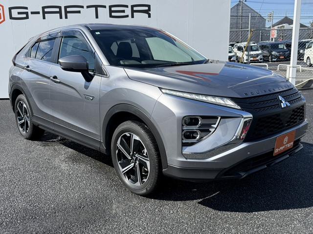 ���Ǝҗl�ւ̔̔��͂��f�肳���Ă��������܂��B�@�Ԍ������ԗ��̏ꍇ�́A�Ԍ����擾�������x�������z�ŕ\�����Ă���܂��B