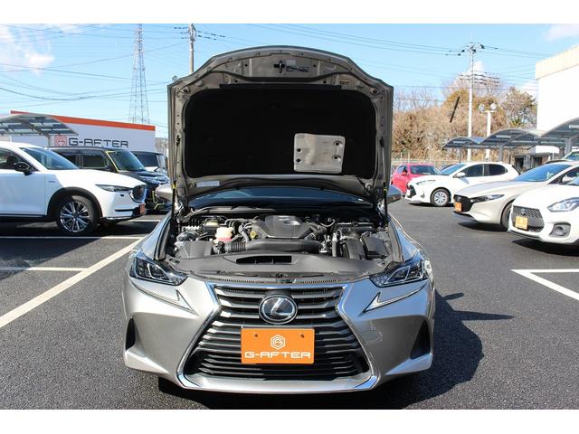 IS IS300 禁煙車 純正9インチナビ フルセグ バックカメラ ベンチレーション 衝突軽減ブレーキ 運転支援システム パドルシフト オートマチックハイビーム バックアラート 逸脱制御システム ブラインドスポット(73枚目)