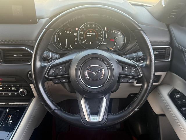 ＣＸ－８ ＸＤ　１００周年特別記念車　禁煙車　ＢＯＳＥサウンドシステム　ベンチレーション　ステアリングヒーター　純正１０．２５型ナビ　フリップダウンモニター　フルセグ　３６０度カラ　赤革シート　衝突軽減　運転支援　ヘッドアップディスプレイ（49枚目）