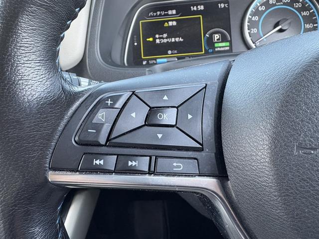 リーフ X 10万台記念車 純正ナビ フルセグ バックカメラ シートヒーター ブラインドスポットモニター コーナーセンサー 衝突軽減ブレーキシステム ウンテンシエンシステム ステアリングヒーター 純正ビルトインETC(44枚目)