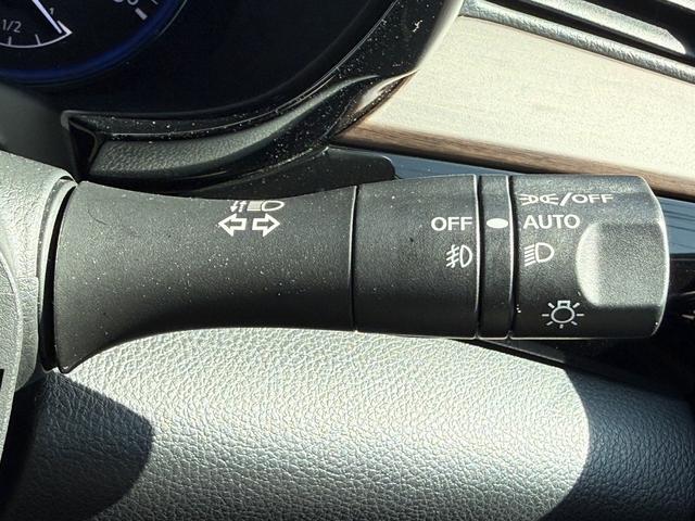 エルグランド 250ハイウェイスターS 禁煙車 純正ナビ バックカメラ フルセグ 両側電動スライドドア ハーフレザー プロパイロット ブラインドスポットモニター ビルトインETC Bluetooth接続 純正18インチアルミホイール LED(50枚目)