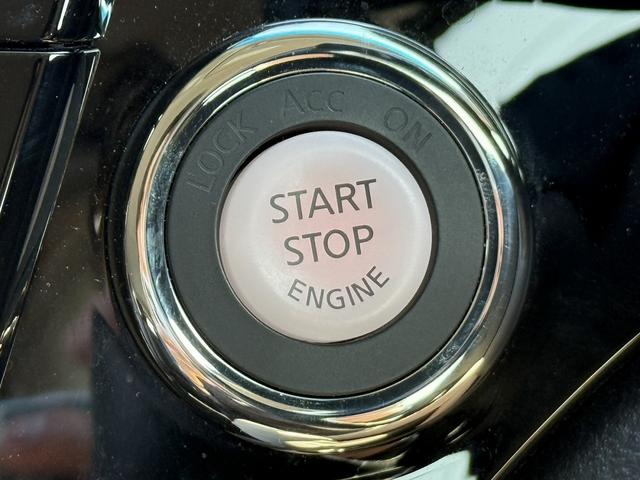 エルグランド 250ハイウェイスターS 禁煙車 純正ナビ バックカメラ フルセグ 両側電動スライドドア ハーフレザー プロパイロット ブラインドスポットモニター ビルトインETC Bluetooth接続 純正18インチアルミホイール LED(57枚目)