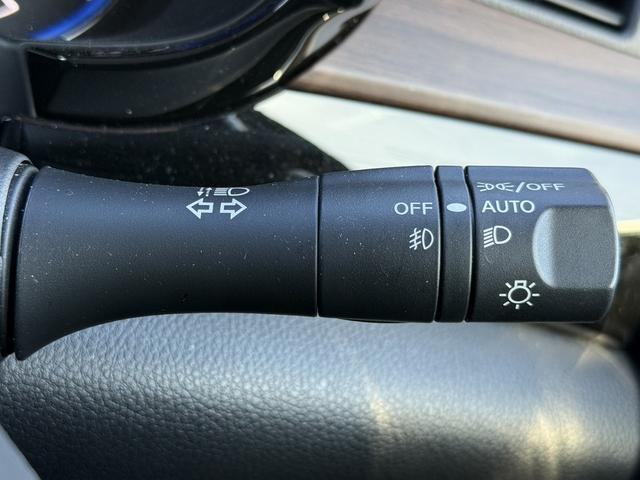 エルグランド ２５０ハイウェイスターＳ　修復歴有　禁煙車　純正ナビ　バックカメラ　フルセグ　両側電動スライドドア　ハーフレザー　プロパイロット　ブラインドスポットモニター　ビルトインＥＴＣ　Ｂｌｕｅｔｏｏｔｈ接続　純正１８ＡＷ　ＥＴＣ（54枚目）