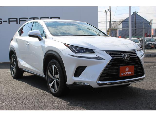 ＮＸ ＮＸ３００　Ｉパッケージ　禁煙車　純正１０インチナビ　フルセグ　シートヒーター　レザーシート　ビルトインＥＴＣ２．０　パワーバックドア　レーダークルーズ　パワーシート　ステアリングヒーター　オートブレーキホールド（21枚目）