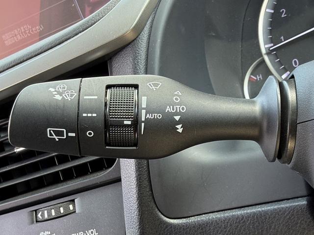 ＲＸ ＲＸ２００ｔ　禁煙車　純正１２．３インチディスプレイ　バックカメラ　フルセグ　ＯＰ２０インチアルミホイール　電動リアゲート　ブラインドスポットモニター　レーダークルーズコントロール　電動リアゲート　ＥＴＣ２．０（51枚目）