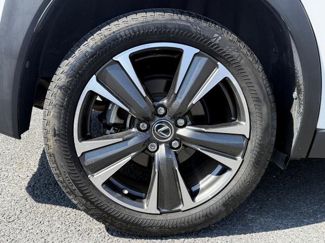 ＵＸ ＵＸ２５０ｈ　バージョンＬ　禁煙車　純正１２．３インチコネクトナビ白革シート　フルセグ　Ｓ・Ｂカメラ　レクサスセーフティシステムアダプティブクルーズコントロール　シートヒーター　電動リアゲート　ブラインドスポットモニター　ＥＴＣ（23枚目）