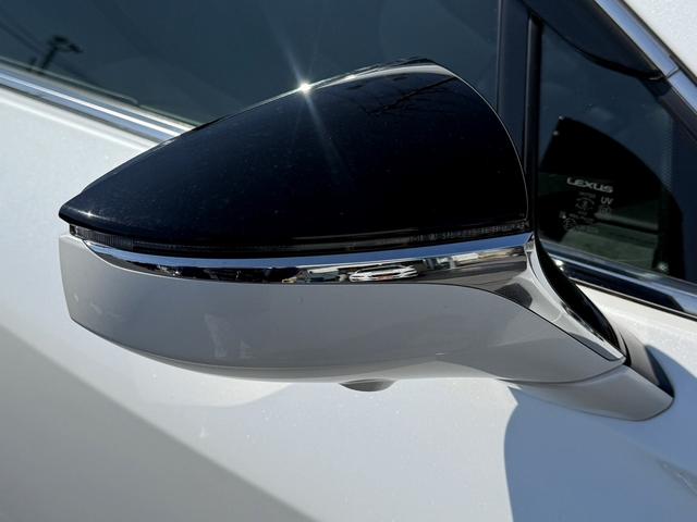 ＵＸ ＵＸ２５０ｈ　バージョンＬ　禁煙車　純正１２．３インチコネクトナビ白革シート　フルセグ　Ｓ・Ｂカメラ　レクサスセーフティシステムアダプティブクルーズコントロール　シートヒーター　電動リアゲート　ブラインドスポットモニター　ＥＴＣ（29枚目）