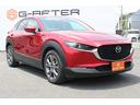 ２０Ｓ１００年記念２０２０ＷＣＯＴＹ　ＴＯＰ３モデル　６ＭＴ／赤革シート／ＢＯＳＥ／純正ナビ／地デジ／３６０度カメラ／衝突軽減／レーダークルーズ／（23枚目）