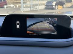 ���ҥ����ȥ������Ƭ�⡦�ܡ��ʥ�ʧ�����ס���Ĺ������ޤǲ�ǽ�ȤʤäƤ���ޤ������������Ǥ⹽���ޤ���ΤǤ����ڤˤ����̲������� 3