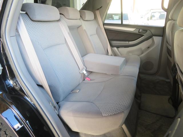 �y�׎�������z�ڗ��悤�ȑ傫�ȃL�Y���Ȃ��L���C�ȏ�Ԃł���