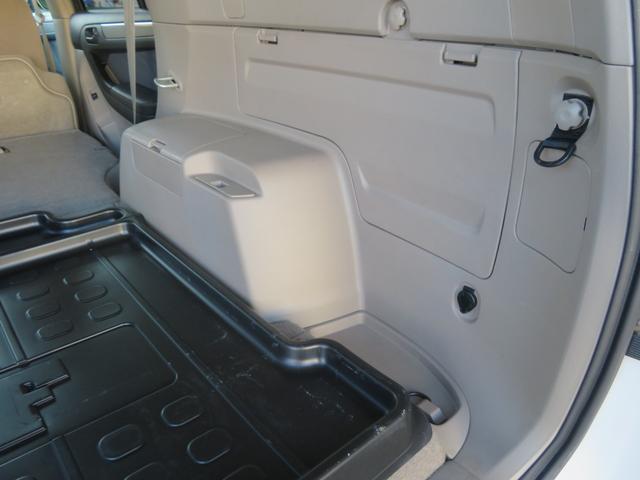 �y�׎�������z�ڗ��悤�ȑ傫�ȃL�Y���Ȃ��L���C�ȏ�Ԃł���