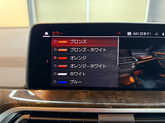 Ｘ４ ｘＤｒｉｖｅ　２０ｄ　Ｍスポーツ　モカブラウンレザー　アクティブクルーズ　純正ナビ　フルセグＴＶ　ヘッドアップディスプレイ　トップビュー＋サイドビューモニター　パワーテールゲート　シートベンチレーター　ＬＥＤ　ＥＴＣ　ドラレコ（44枚目）