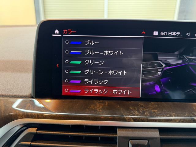 Ｘ４ ｘＤｒｉｖｅ　２０ｄ　Ｍスポーツ　モカブラウンレザー　アクティブクルーズ　純正ナビ　フルセグＴＶ　ヘッドアップディスプレイ　トップビュー＋サイドビューモニター　パワーテールゲート　シートベンチレーター　ＬＥＤ　ＥＴＣ　ドラレコ（45枚目）