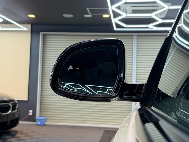 Ｘ４ ｘＤｒｉｖｅ　２０ｄ　Ｍスポーツ　モカブラウンレザー　アクティブクルーズ　純正ナビ　フルセグＴＶ　ヘッドアップディスプレイ　トップビュー＋サイドビューモニター　パワーテールゲート　シートベンチレーター　ＬＥＤ　ＥＴＣ　ドラレコ（55枚目）
