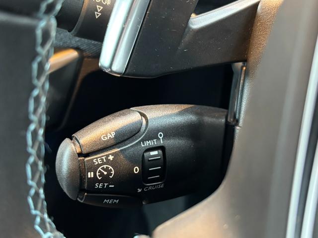 ３００８ 　アダプティブクルーズコントロール　ディスプレイオーディオ　サイドカメラ　バックガイドモニター　ＥＴＣ　パワーテールゲート　シートヒーター（28枚目）