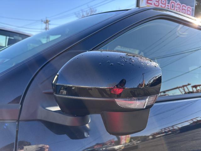 ライズ Ｚ　ドライブレコーダー　バックカメラ　クリアランスソナー　オートクルーズコントロール　レーンアシスト　衝突被害軽減システム　ＴＶ　オートライト　ＬＥＤヘッドランプ　アルミホイール　スマートキー（37枚目）