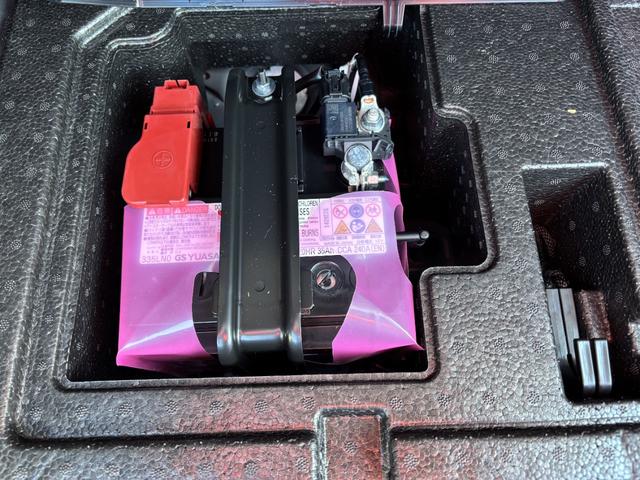 ライズ Ｚ　ドライブレコーダー　バックカメラ　クリアランスソナー　オートクルーズコントロール　レーンアシスト　衝突被害軽減システム　ＴＶ　オートライト　ＬＥＤヘッドランプ　アルミホイール　スマートキー（50枚目）