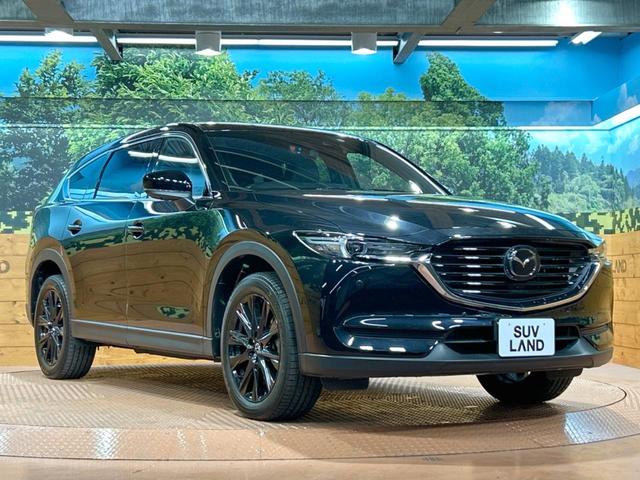 ＣＸ－８ ＸＤ　ブラックトーンエディション　禁煙車　純正１０型ナビ　全周囲カメラ　フルセグ　スマートシティブレーキ　ブラインドスポットモニター　レーダークルーズ　ハーフレザーシート　前中列シートヒーター　アダプティブＬＥＤヘッドライト　ＥＴＣ（17枚目）