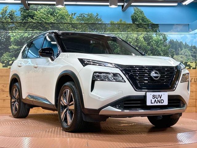 エクストレイル Ｇ　ｅ－４ＯＲＣＥ　禁煙車　純正１２型ナビ　全周囲カメラ　インテリジェントルームミラー　プロパイロット　電動リアゲート　ブラインドスポットモニター　Ｂｌｕｅｔｏｏｔｈ再生　フルセグ　ＬＥＤヘッドライト　シートヒーター（16枚目）