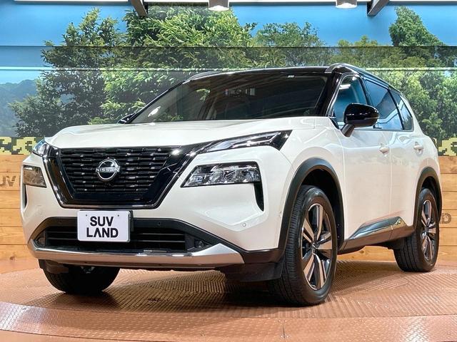 エクストレイル Ｇ　ｅ－４ＯＲＣＥ　禁煙車　純正１２型ナビ　全周囲カメラ　インテリジェントルームミラー　プロパイロット　電動リアゲート　ブラインドスポットモニター　Ｂｌｕｅｔｏｏｔｈ再生　フルセグ　ＬＥＤヘッドライト　シートヒーター（43枚目）