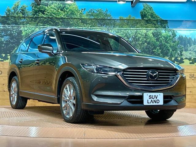 ＣＸ－８ ２５Ｔ　プロアクティブ　禁煙車　後席モニター　全周囲カメラ　６人乗り　ルーフレール　レーダークルーズ　ブラインドスポットモニター　純正ＳＤナビ　シートヒーター　ＬＥＤヘッド　ＥＴＣ　電動リアゲート　純正１９ＡＷ（16枚目）