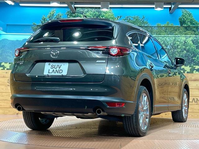 ＣＸ－８ ２５Ｔ　プロアクティブ　禁煙車　後席モニター　全周囲カメラ　６人乗り　ルーフレール　レーダークルーズ　ブラインドスポットモニター　純正ＳＤナビ　シートヒーター　ＬＥＤヘッド　ＥＴＣ　電動リアゲート　純正１９ＡＷ（17枚目）