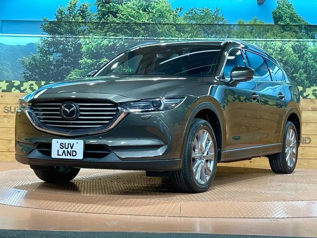 ＣＸ－８ ２５Ｔ　プロアクティブ　禁煙車　後席モニター　全周囲カメラ　６人乗り　ルーフレール　レーダークルーズ　ブラインドスポットモニター　純正ＳＤナビ　シートヒーター　ＬＥＤヘッド　ＥＴＣ　電動リアゲート　純正１９ＡＷ（25枚目）