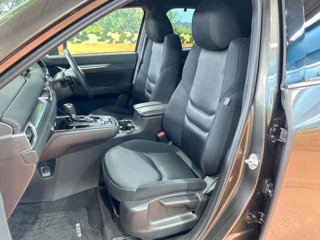 ＣＸ－８ ２５Ｔ　プロアクティブ　禁煙車　後席モニター　全周囲カメラ　６人乗り　ルーフレール　レーダークルーズ　ブラインドスポットモニター　純正ＳＤナビ　シートヒーター　ＬＥＤヘッド　ＥＴＣ　電動リアゲート　純正１９ＡＷ（31枚目）