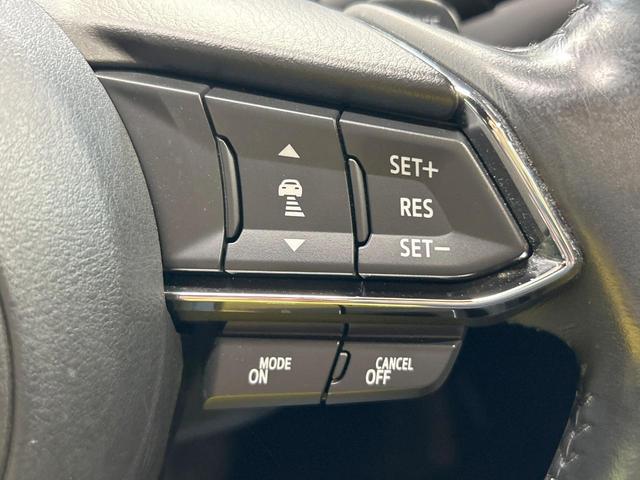 ＣＸ－８ ２５Ｔ　プロアクティブ　禁煙車　後席モニター　全周囲カメラ　６人乗り　ルーフレール　レーダークルーズ　ブラインドスポットモニター　純正ＳＤナビ　シートヒーター　ＬＥＤヘッド　ＥＴＣ　電動リアゲート　純正１９ＡＷ（65枚目）