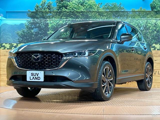 ＣＸ－５ ２５Ｓ　Ｌパッケージ　禁煙車　全周囲カメラ　１０型ナビ　革シート　パワーシート　電動リアゲート　レーダークルーズ　ブラインドスポットモニター　クルーズコントロール　レーンアシスト　ＬＥＤヘッド　Ｂｌｕｅｔｏｏｔｈ（25枚目）