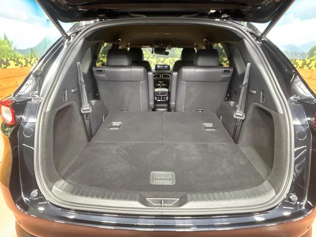 ＣＸ－８ ２５Ｓ　Ｌパッケージ　禁煙車　全周囲カメラ　１０型ナビ　フルセグ　本革シート　ブラインドスポットモニター　電動リアゲート　クリアランスソナー　レーダークルーズ　ルーフレール　ＬＥＤヘッドライト　純正１９インチＡＷ　ＥＴＣ（11枚目）