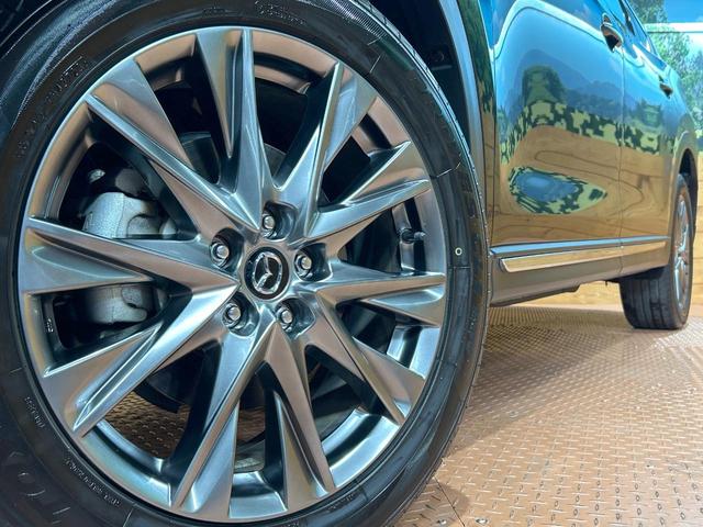 ＣＸ－８ ２５Ｓ　Ｌパッケージ　禁煙車　全周囲カメラ　１０型ナビ　フルセグ　本革シート　ブラインドスポットモニター　電動リアゲート　クリアランスソナー　レーダークルーズ　ルーフレール　ＬＥＤヘッドライト　純正１９インチＡＷ　ＥＴＣ（14枚目）