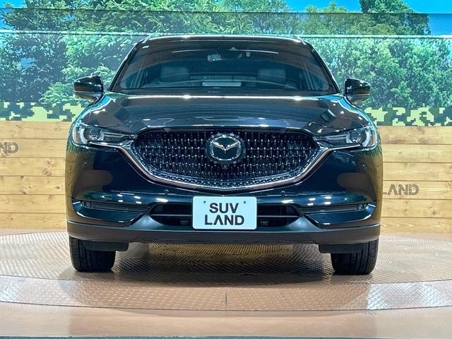 ＣＸ－８ ２５Ｓ　Ｌパッケージ　禁煙車　全周囲カメラ　１０型ナビ　フルセグ　本革シート　ブラインドスポットモニター　電動リアゲート　クリアランスソナー　レーダークルーズ　ルーフレール　ＬＥＤヘッドライト　純正１９インチＡＷ　ＥＴＣ（15枚目）