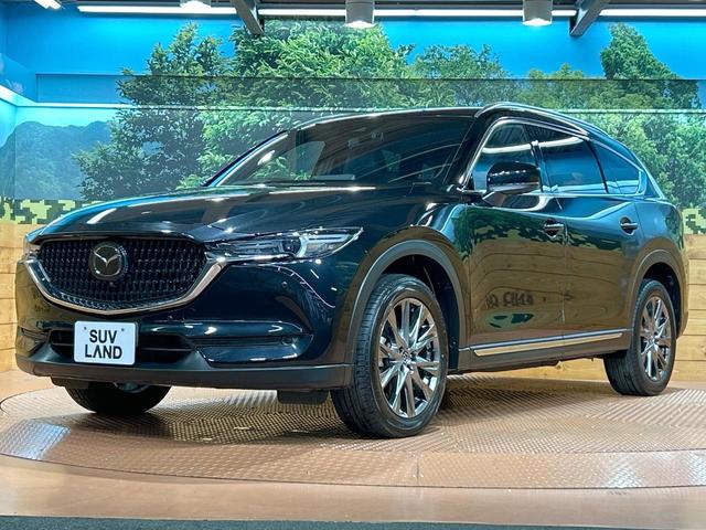 ＣＸ－８ ２５Ｓ　Ｌパッケージ　禁煙車　全周囲カメラ　１０型ナビ　フルセグ　本革シート　ブラインドスポットモニター　電動リアゲート　クリアランスソナー　レーダークルーズ　ルーフレール　ＬＥＤヘッドライト　純正１９インチＡＷ　ＥＴＣ（32枚目）
