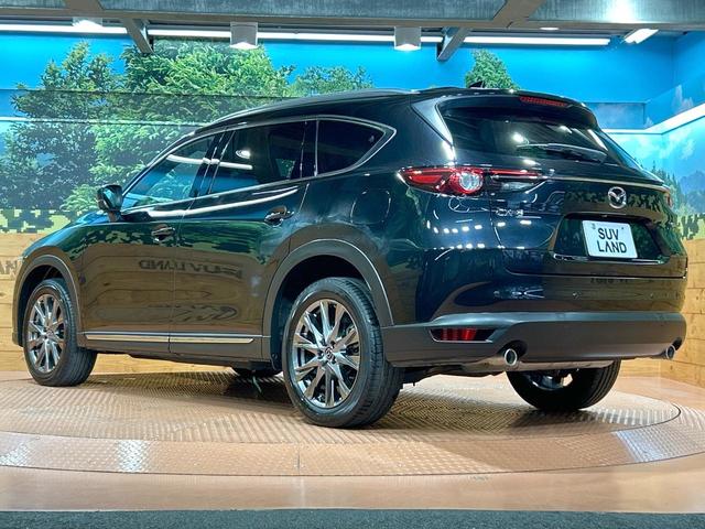 ＣＸ－８ ２５Ｓ　Ｌパッケージ　禁煙車　全周囲カメラ　１０型ナビ　フルセグ　本革シート　ブラインドスポットモニター　電動リアゲート　クリアランスソナー　レーダークルーズ　ルーフレール　ＬＥＤヘッドライト　純正１９インチＡＷ　ＥＴＣ（34枚目）