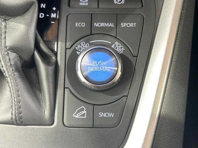 RAV4 アドベンチャー オフロードパッケージII 禁煙 10.5型ディスプレイ バックカメラ 電動リアゲート シートメモリー付パワーシート シートベンチレーション ステアリングヒーター コーナーセンサー ルーフレール ダウンヒルアシスト(56枚目)