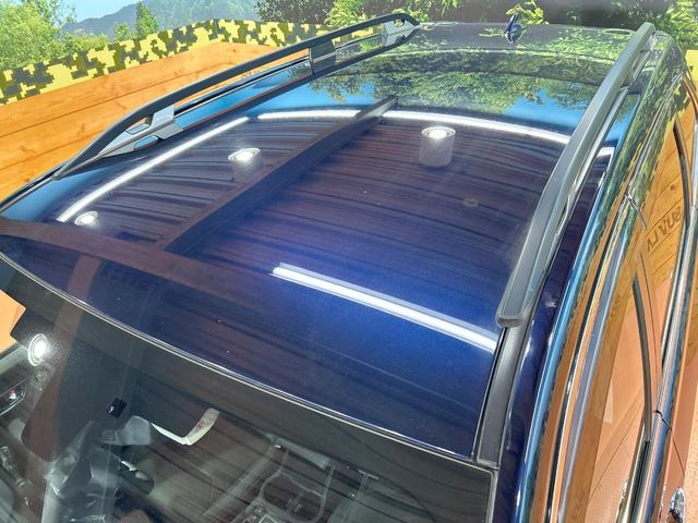 フォレスター アドバンス 禁煙車 アイサイトセイフティプラス視界拡張 ルーフレール 電動リアゲート レーダークルーズ 純正8型ナビ バックカメラ シートヒーター LEDヘッド&フォグ ステアリングヒーター 純正18AW ETC(20枚目)