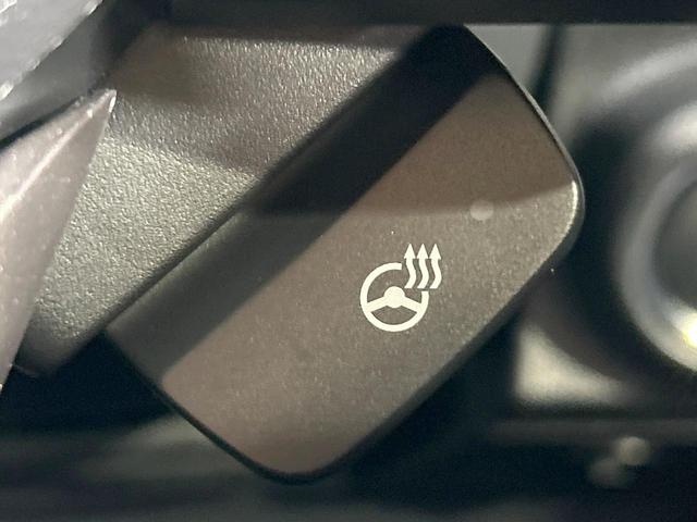 フォレスター アドバンス 禁煙車 アイサイトセイフティプラス視界拡張 ルーフレール 電動リアゲート レーダークルーズ 純正8型ナビ バックカメラ シートヒーター LEDヘッド&フォグ ステアリングヒーター 純正18AW ETC(47枚目)