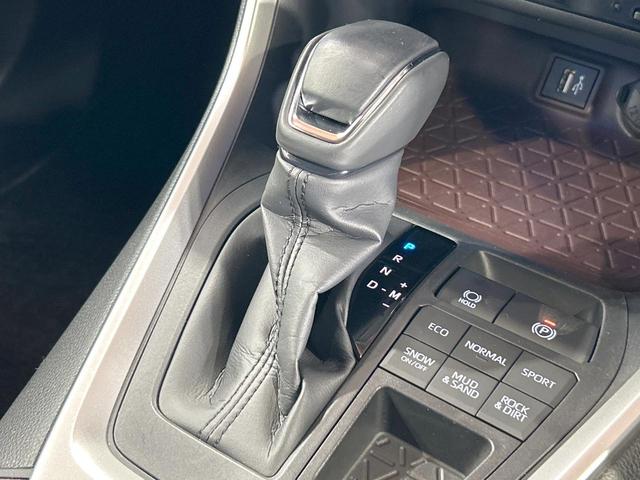 ＲＡＶ４ Ｇ　禁煙車　ムーンルーフ　全周囲カメラ　１０型ディスプレイオーディオ　ルーフレール　トヨタセーフティセンス　クリアランスソナー　電動リアゲート　レーダークルーズ　ＬＥＤヘッドライト　メモリーパワーシート（48枚目）