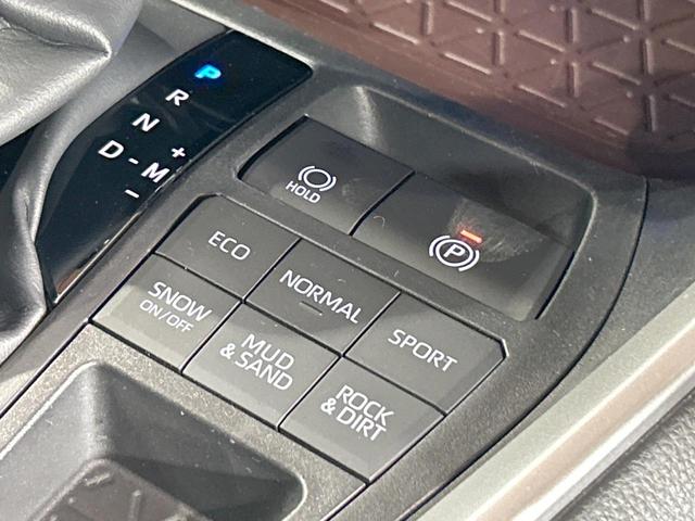 ＲＡＶ４ Ｇ　禁煙車　ムーンルーフ　全周囲カメラ　１０型ディスプレイオーディオ　ルーフレール　トヨタセーフティセンス　クリアランスソナー　電動リアゲート　レーダークルーズ　ＬＥＤヘッドライト　メモリーパワーシート（49枚目）