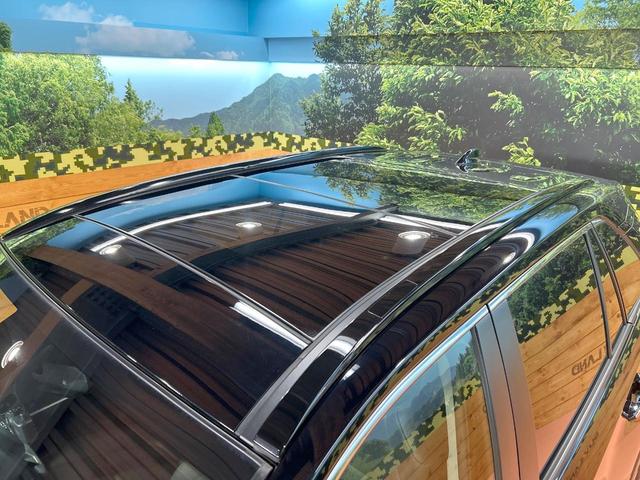 ＲＡＶ４ Ｇ　禁煙車　ムーンルーフ　全周囲カメラ　１０型ディスプレイオーディオ　ルーフレール　トヨタセーフティセンス　クリアランスソナー　電動リアゲート　レーダークルーズ　ＬＥＤヘッドライト　メモリーパワーシート（62枚目）